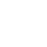 DS